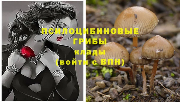 твердый Красноперекопск