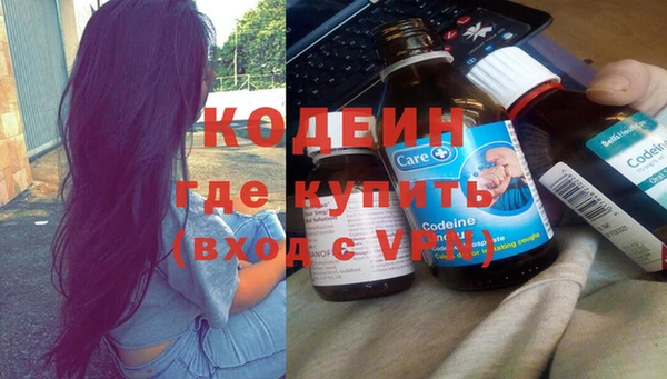 дживик Краснослободск