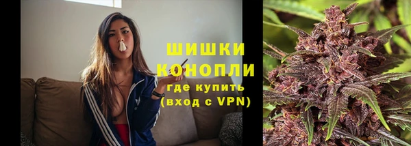 дживик Краснослободск