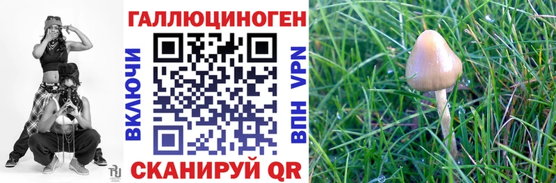 Галлюциногенные грибы MAGIC MUSHROOMS  Серпухов 