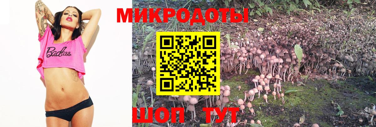 Серпухов  Галлюциногенные грибы Psilocybe  Вход с VPN 
