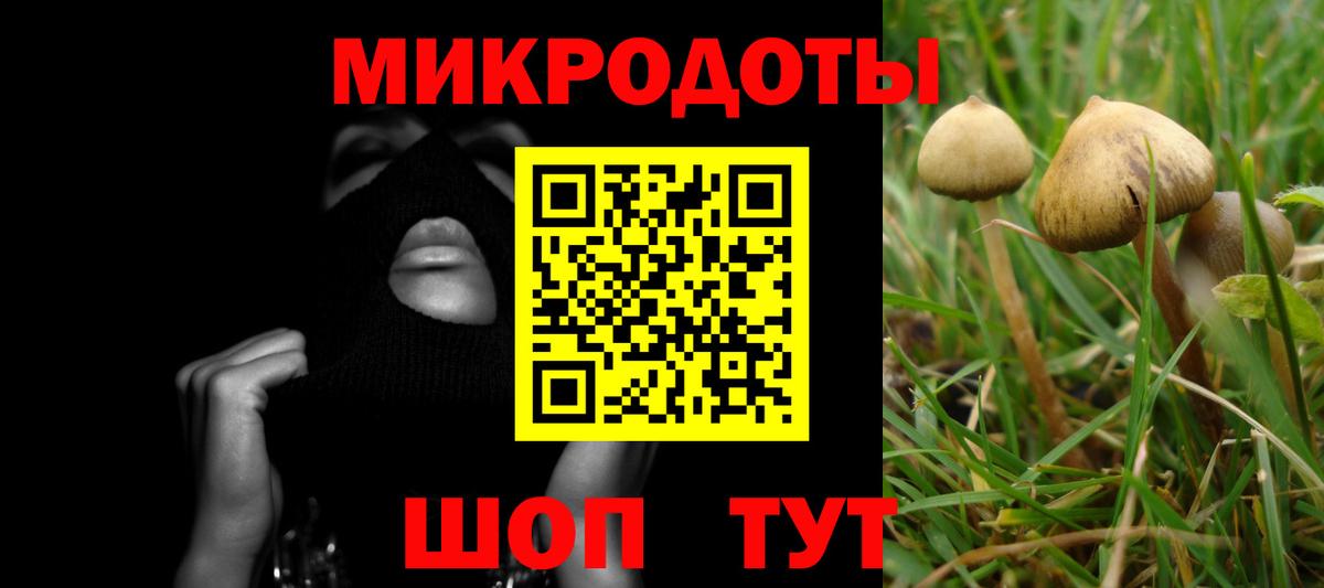 Галлюциногенные грибы Magic Shrooms Серпухов